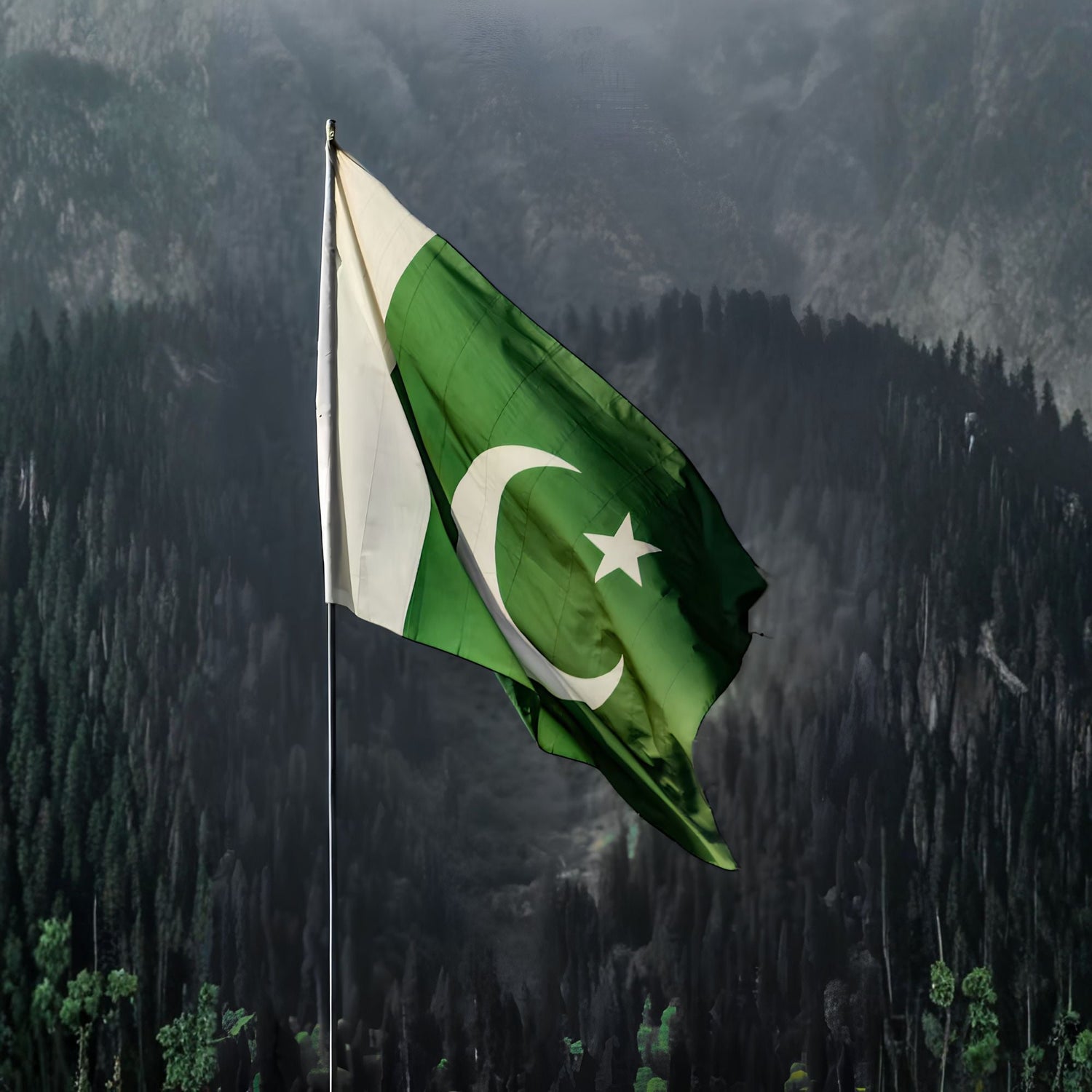 Worldwide shipping from Pakistan